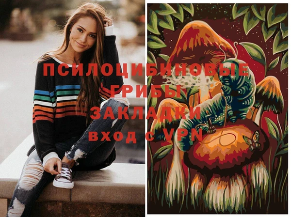 метадон Инсар