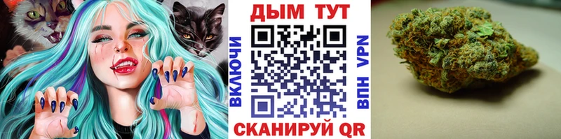 Купить  Любань  Конопля ГИДРОПОН 